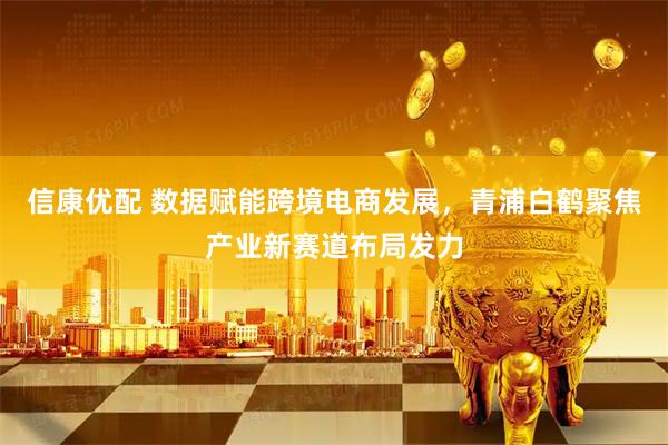 信康优配 数据赋能跨境电商发展,青浦白鹤聚焦产业新赛道布局发力