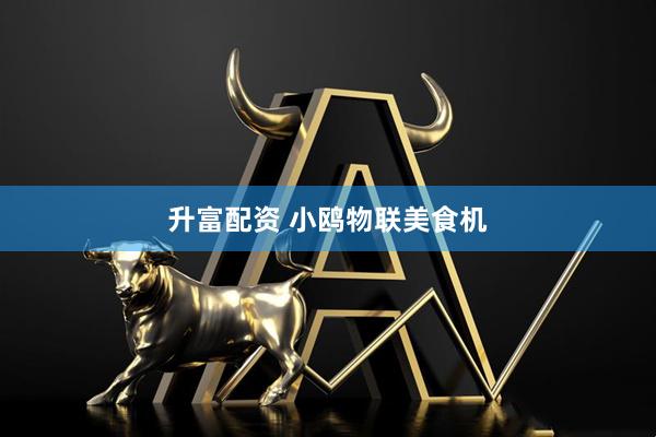 升富配资 小鸥物联美食机