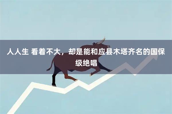 人人生 看着不大,却是能和应县木塔齐名的国保级绝唱