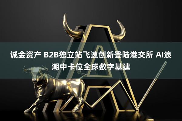 诚金资产 B2B独立站飞速创新登陆港交所 AI浪潮中卡位全球数字基建