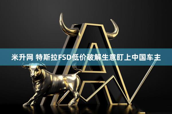 米升网 特斯拉FSD低价破解生意盯上中国车主