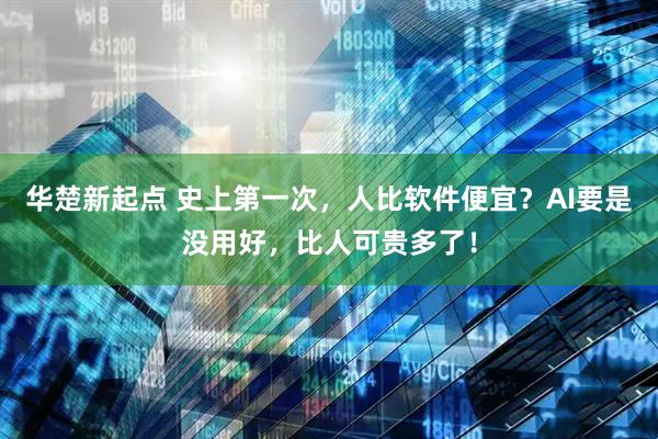 华楚新起点 史上第一次,人比软件便宜?AI要是没用好,比人可贵多了!