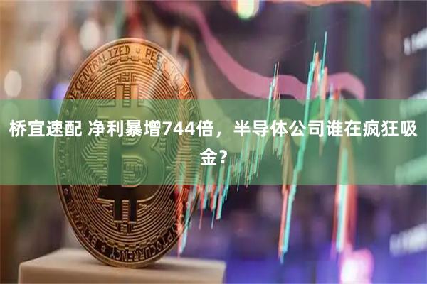 桥宜速配 净利暴增744倍，半导体公司谁在疯狂吸金？