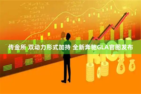 传金所 双动力形式加持 全新奔驰GLA官图发布