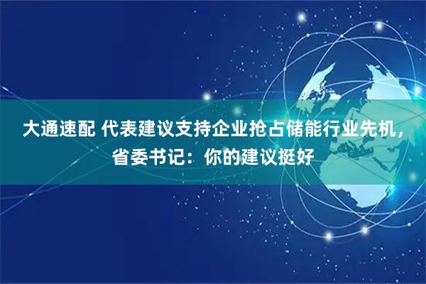 大通速配 代表建议支持企业抢占储能行业先机，省委书记：你的建议挺好
