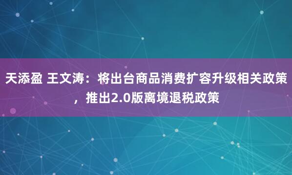 天添盈 王文涛：将出台商品消费扩容升级相关政策，推出2.0版离境退税政策