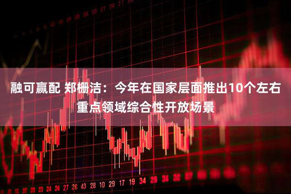 融可赢配 郑栅洁：今年在国家层面推出10个左右重点领域综合性开放场景