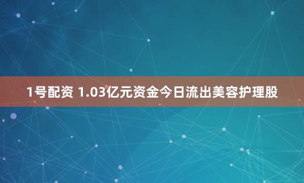 1号配资 1.03亿元资金今日流出美容护理股