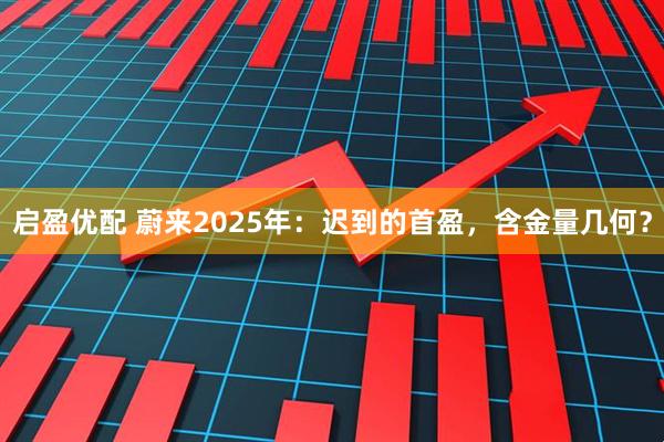 启盈优配 蔚来2025年：迟到的首盈，含金量几何？