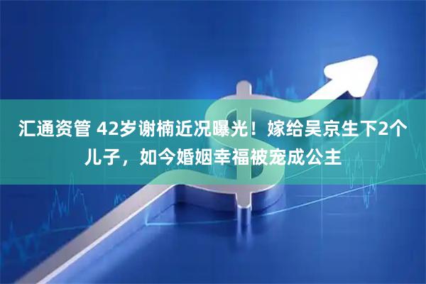汇通资管 42岁谢楠近况曝光！嫁给吴京生下2个儿子，如今婚姻幸福被宠成公主
