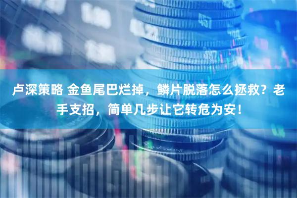 卢深策略 金鱼尾巴烂掉，鳞片脱落怎么拯救？老手支招，简单几步让它转危为安！