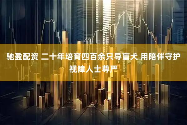 驰盈配资 二十年培育四百余只导盲犬 用陪伴守护视障人士尊严
