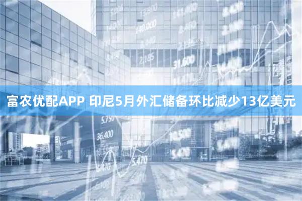 富农优配APP 印尼5月外汇储备环比减少13亿美元