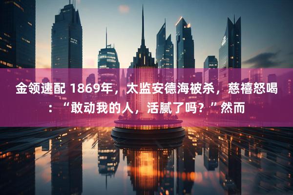 金领速配 1869年，太监安德海被杀，慈禧怒喝：“敢动我的人，活腻了吗？”然而